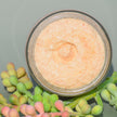 Pink Himalayan Salt Scrub