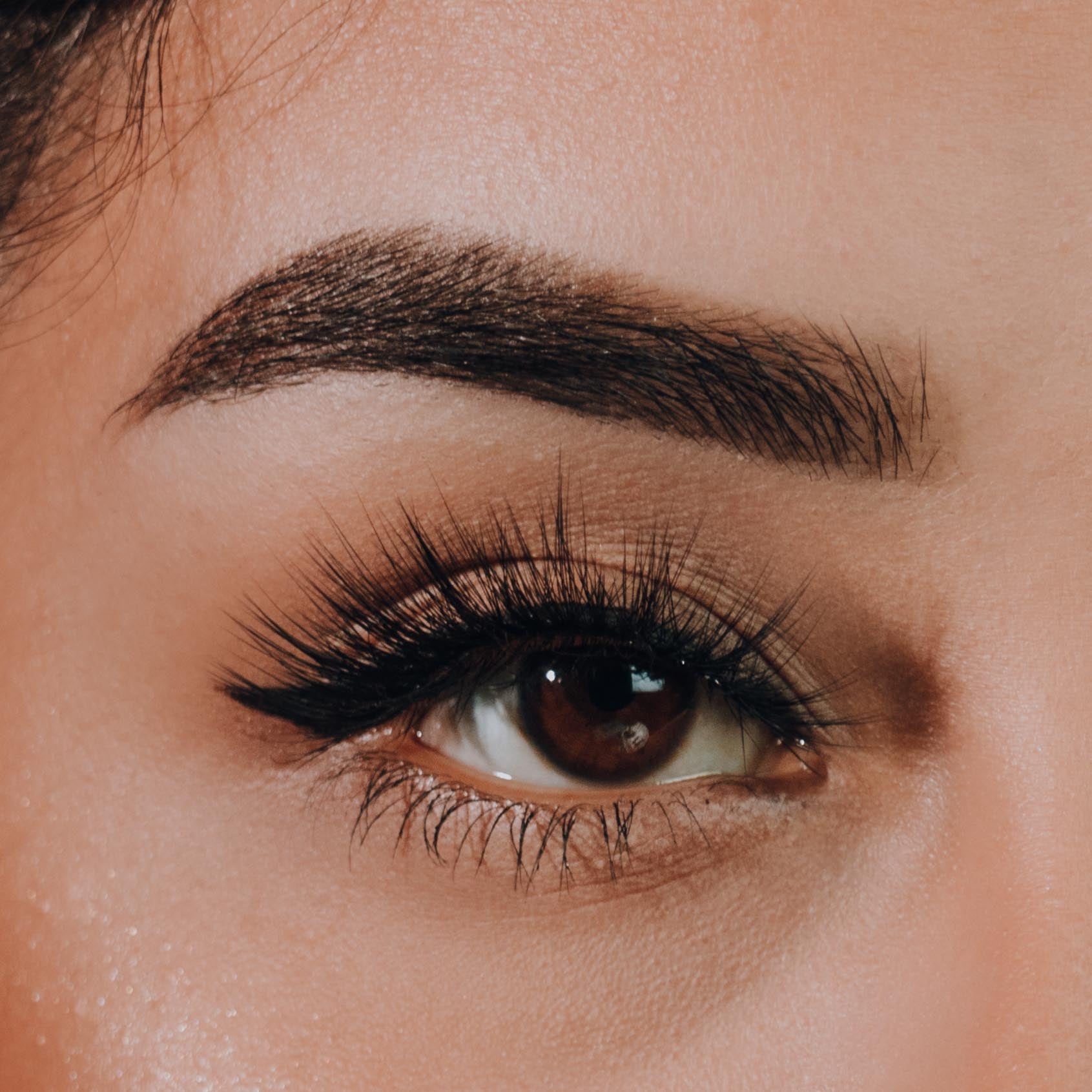 Chula Beauty Preciosa Lashes