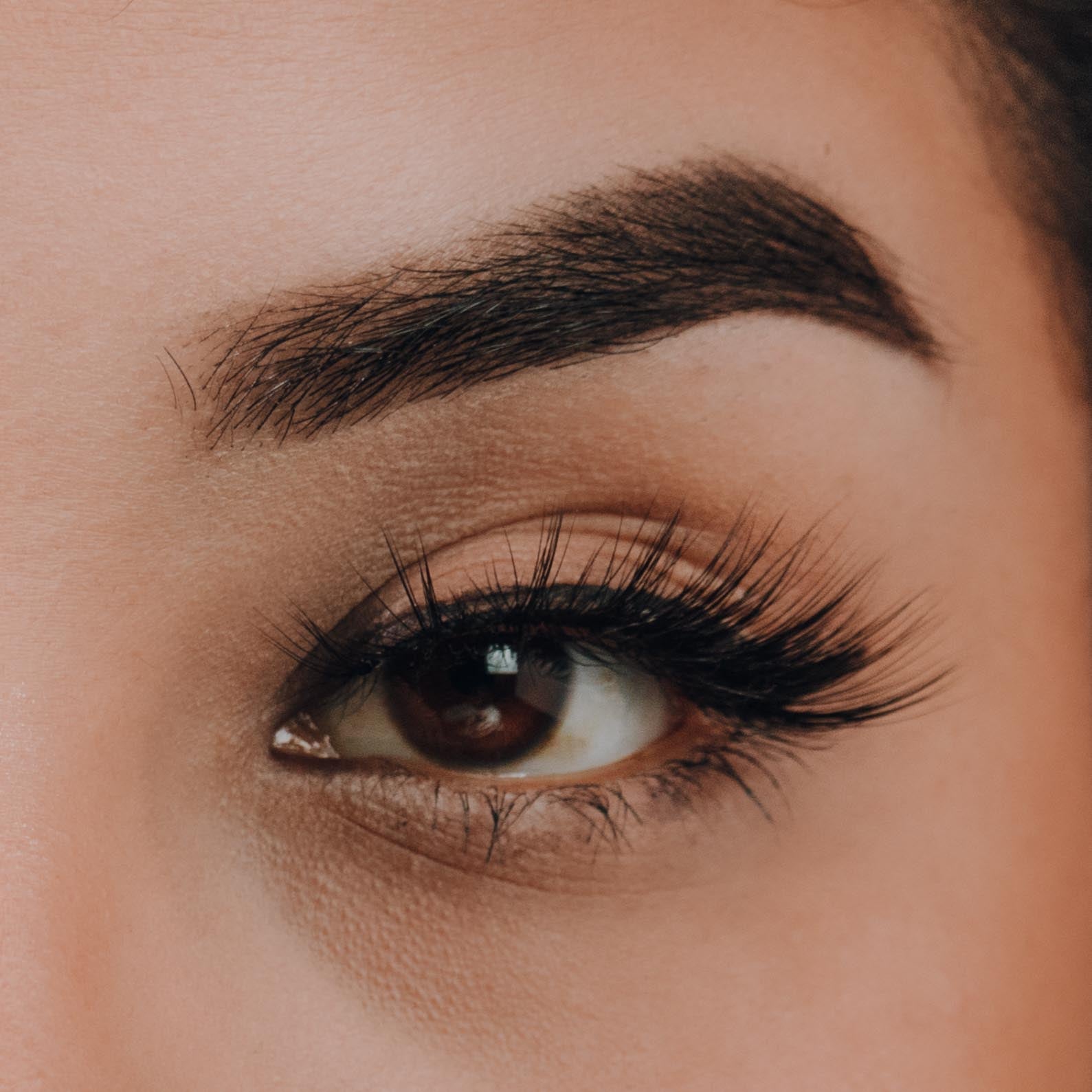 Chula Beauty Miss Independent Lashes