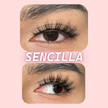 Sencilla | Lash Lover Lashes (Short Anime Rounded, Perfect for Glasses Wearers)