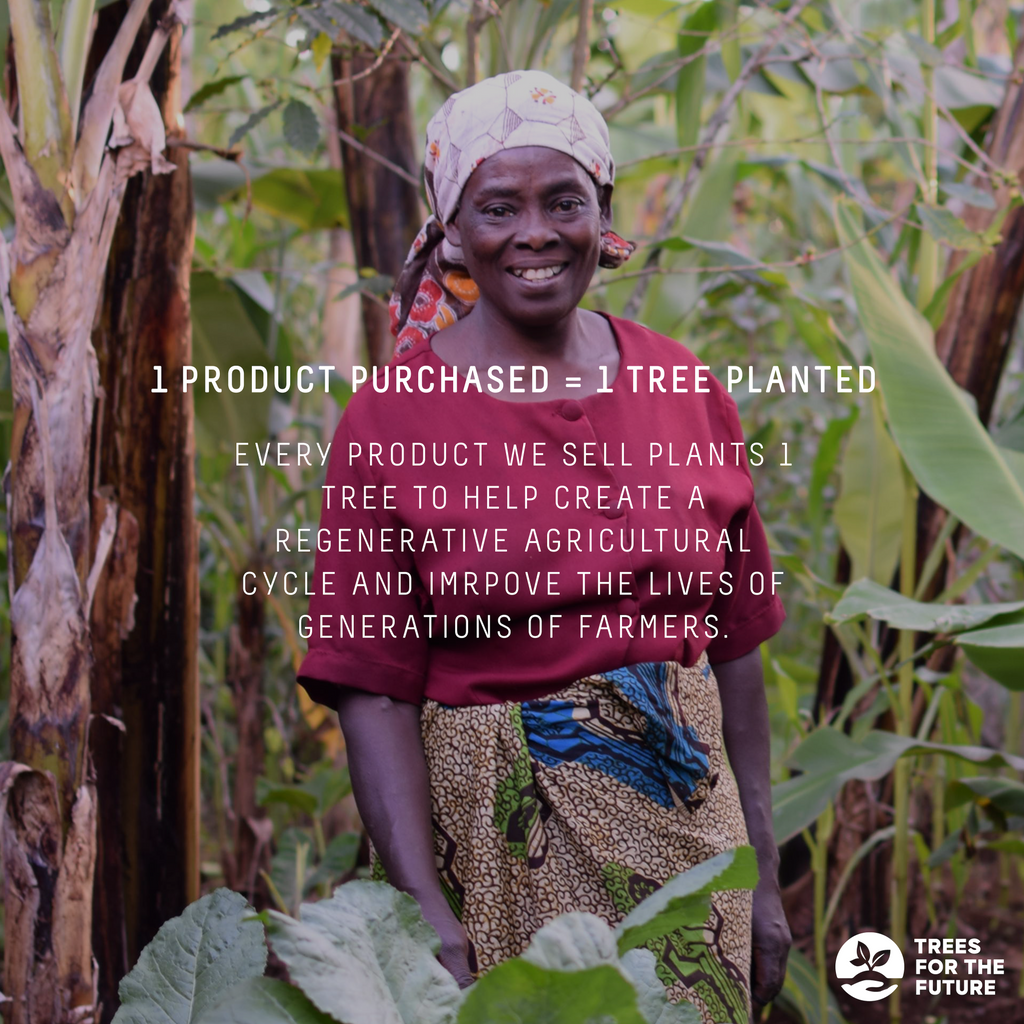 BEAUTOLOGY LAB 24K Gold Collagen Eye Masks Single