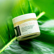 Tzol'Skin Turn Down and Recover Creme